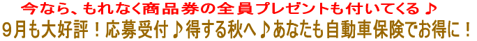 9月も大好評!応募受付♪得する秋へ♪あなたも自動車保険でお得に!♪