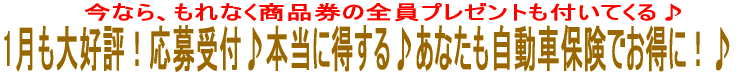1月も大好評!応募受付♪本当に得する♪あなたも自動車保険でお得に!♪