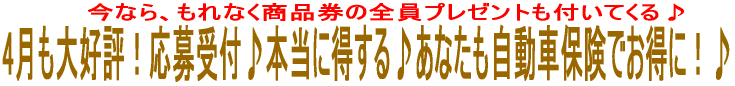 4D]It{ɓ􂠂ȂԕیłɁI