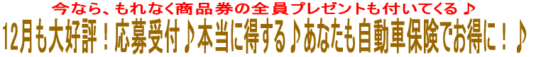 12D]It{ɓ􂠂ȂԕیłɁI